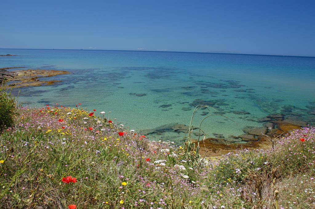 Апартаменты La Rosa Del Mare Кастельсардо Экстерьер фото